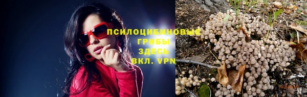 стаф Баксан