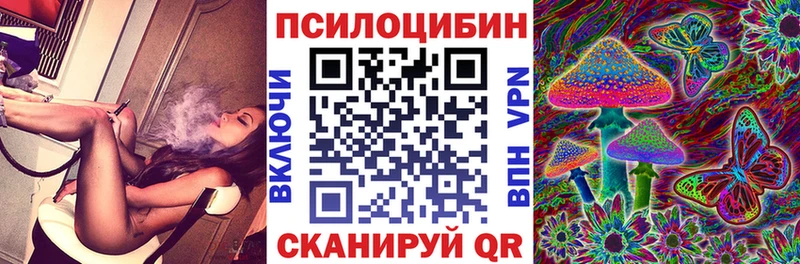 hydra tor  Гвардейск  Галлюциногенные грибы мицелий 
